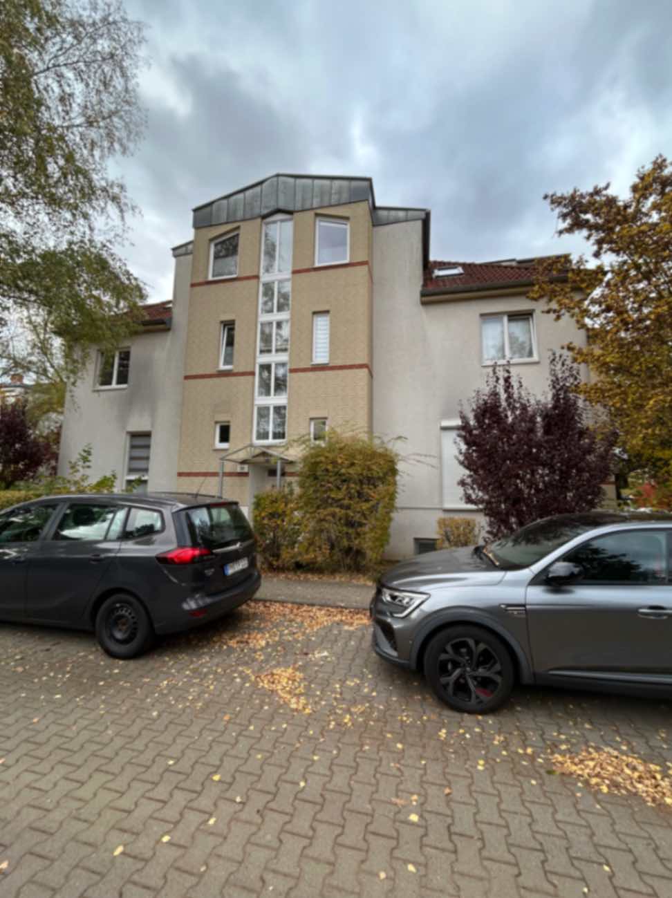 jpeg optimizer_IMG_8308