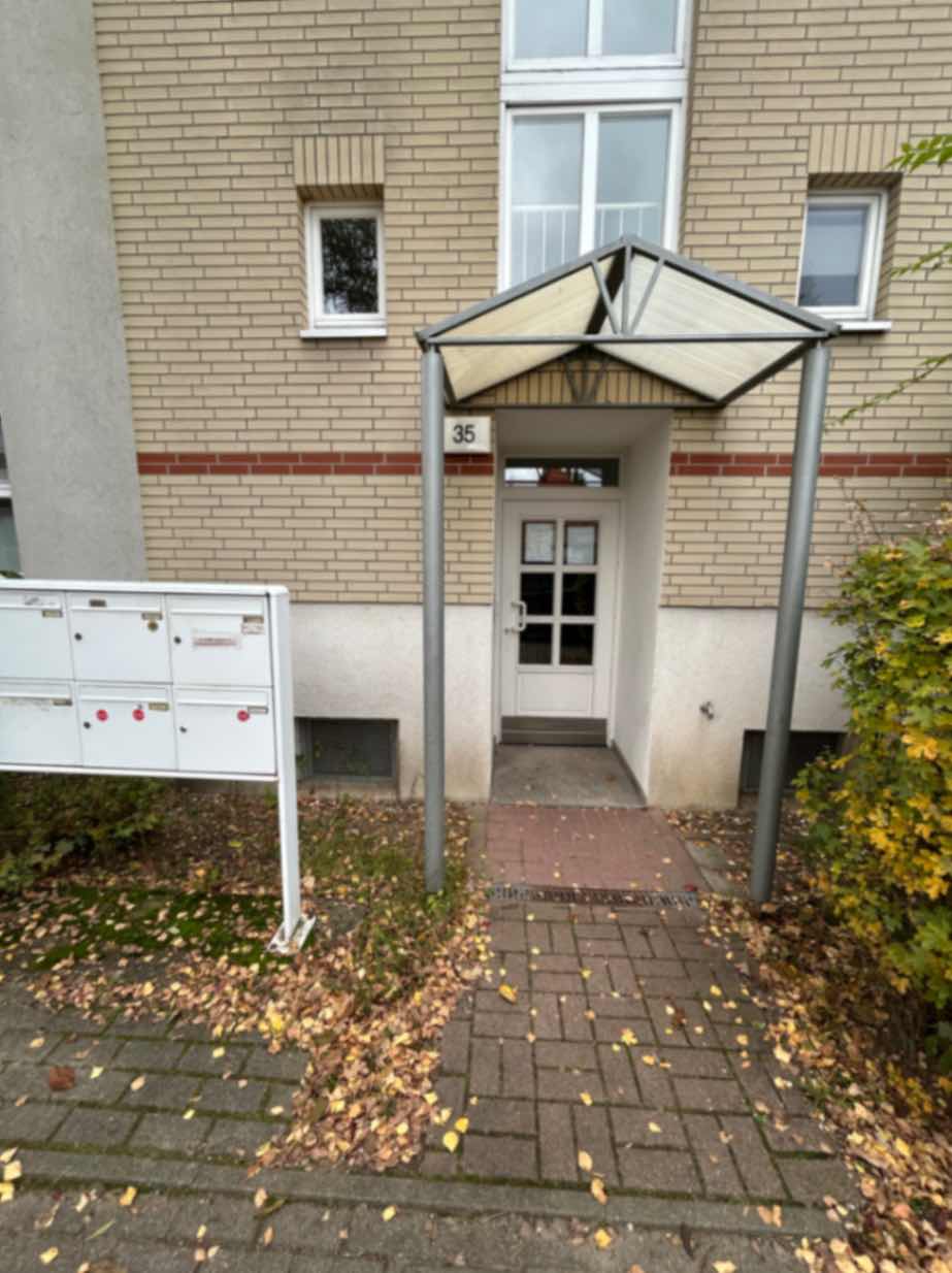 jpeg optimizer_IMG_8315