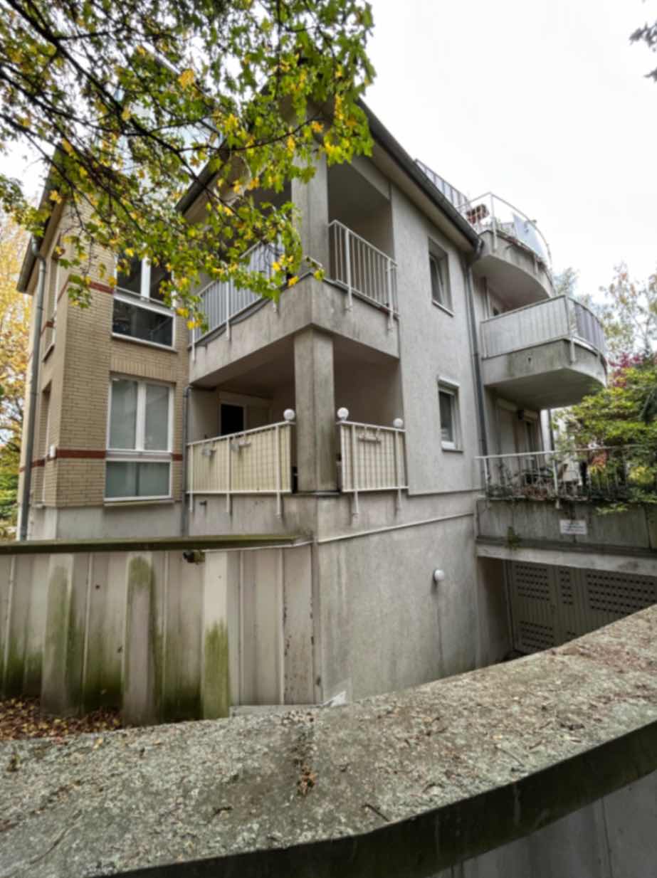 jpeg optimizer_IMG_8319